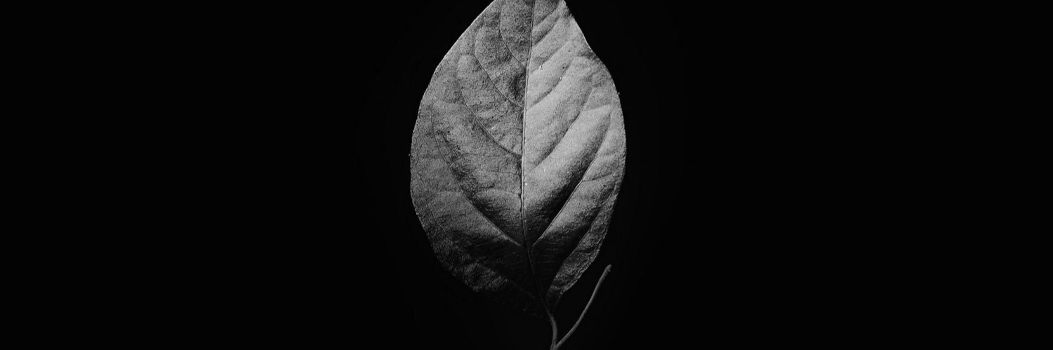 a_b_o15's profile banner image