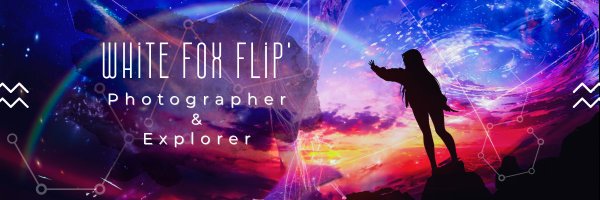Mini_Flip_ Profile Banner