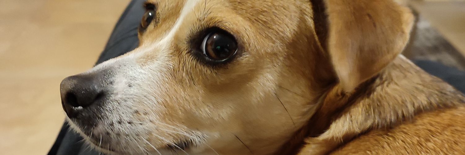 Pampouks's profile banner image