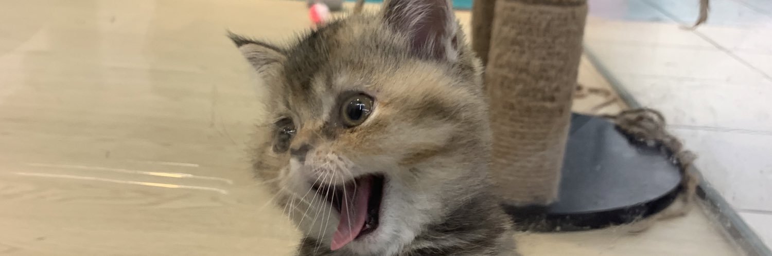 aininsofiazz's profile banner image