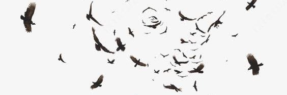 holdwatermaster's banner