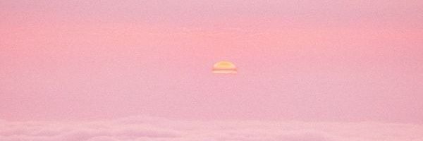 tenderscures Profile Banner