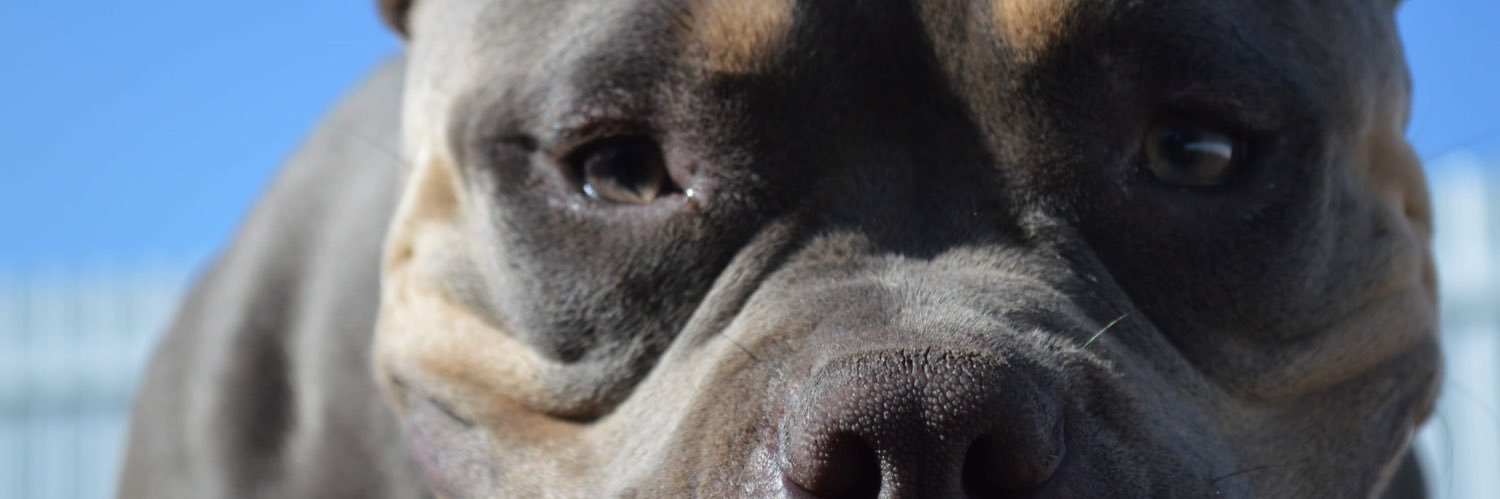 WillySoFreshh's profile banner image