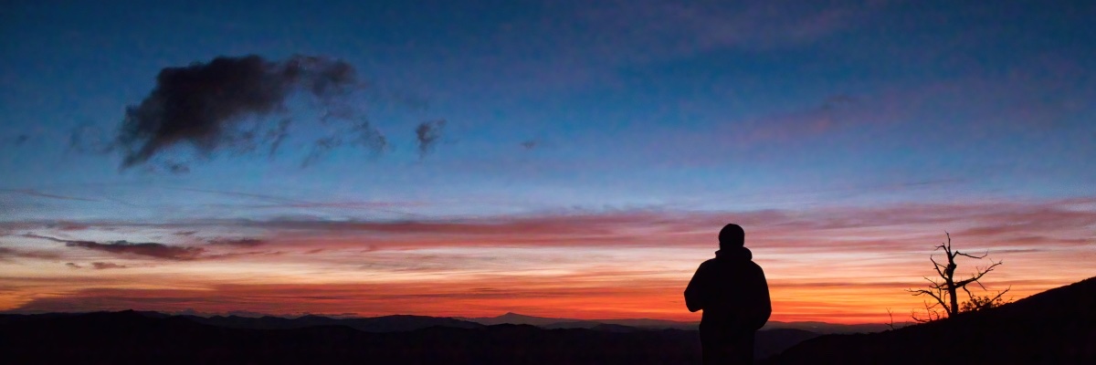 MarieDcevennes's profile banner image
