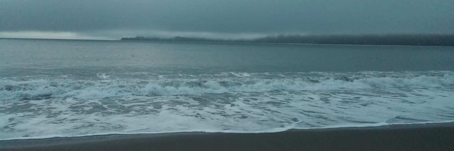 RavenLynnM's profile banner image