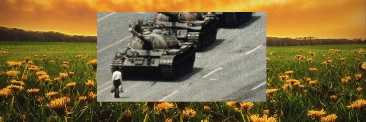 Nancy Sendler banner