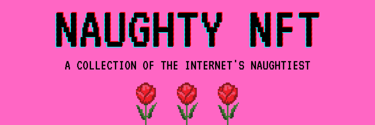 NaughtyNFT banner