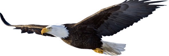 l8ckystr7ke's profile banner image