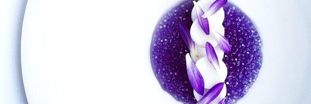 Catalina_velez's profile banner image