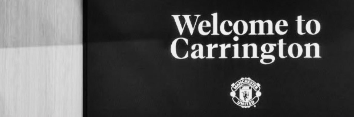 tomi banner