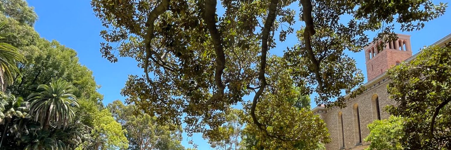 Iryna Kayda, MSc banner