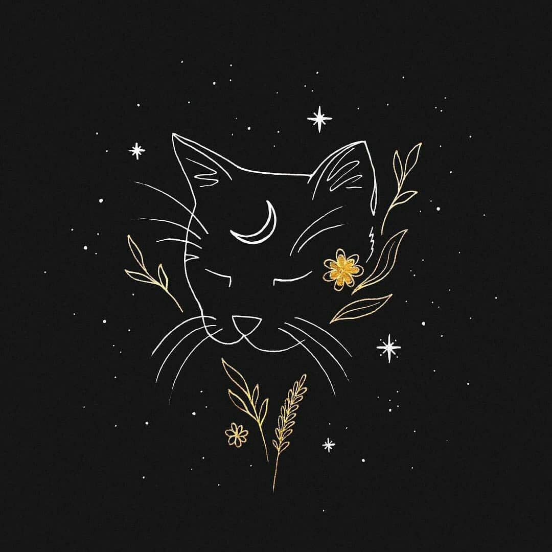Xonitaa's profile banner image