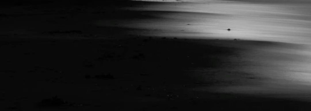 wjesvle's profile banner image