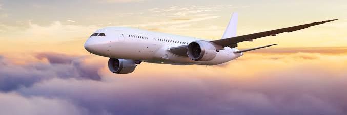 Roxy PG 🇲🇽 banner