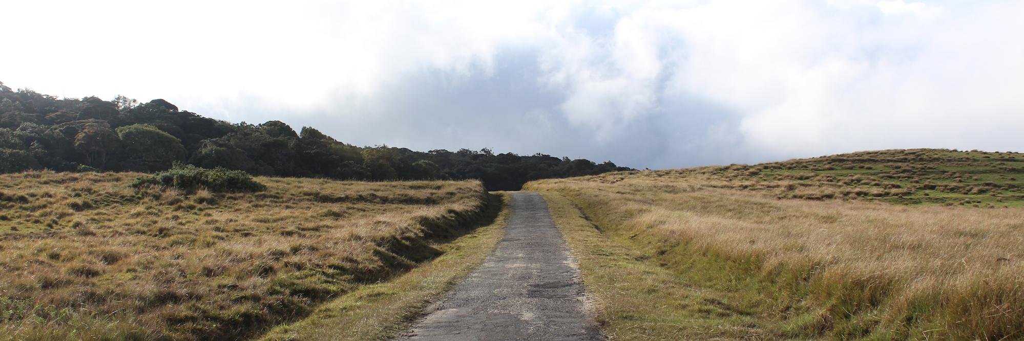 Pathum Egodawatta banner