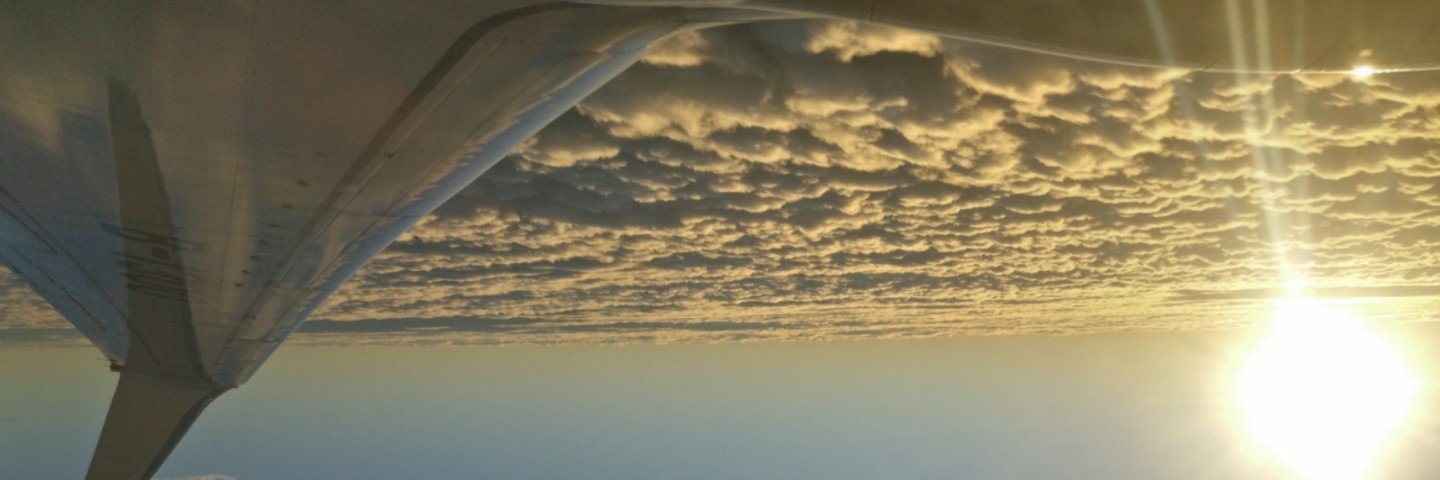 SharkTomTom's profile banner image