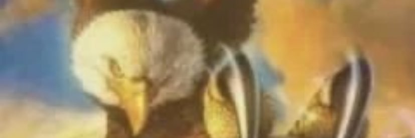 DerpCat 🪐 banner