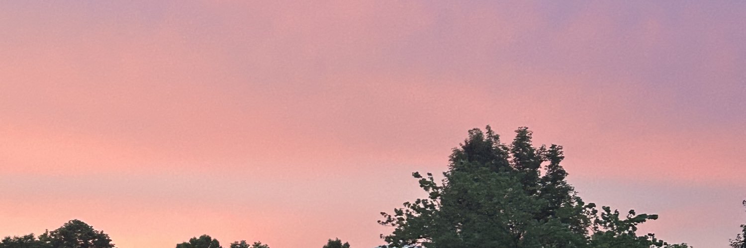 Sinsgryphon's profile banner image