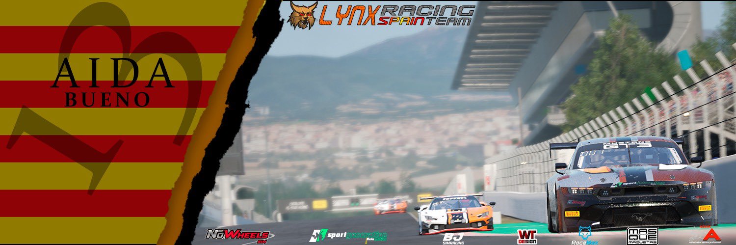 Aidabp_simracing banner
