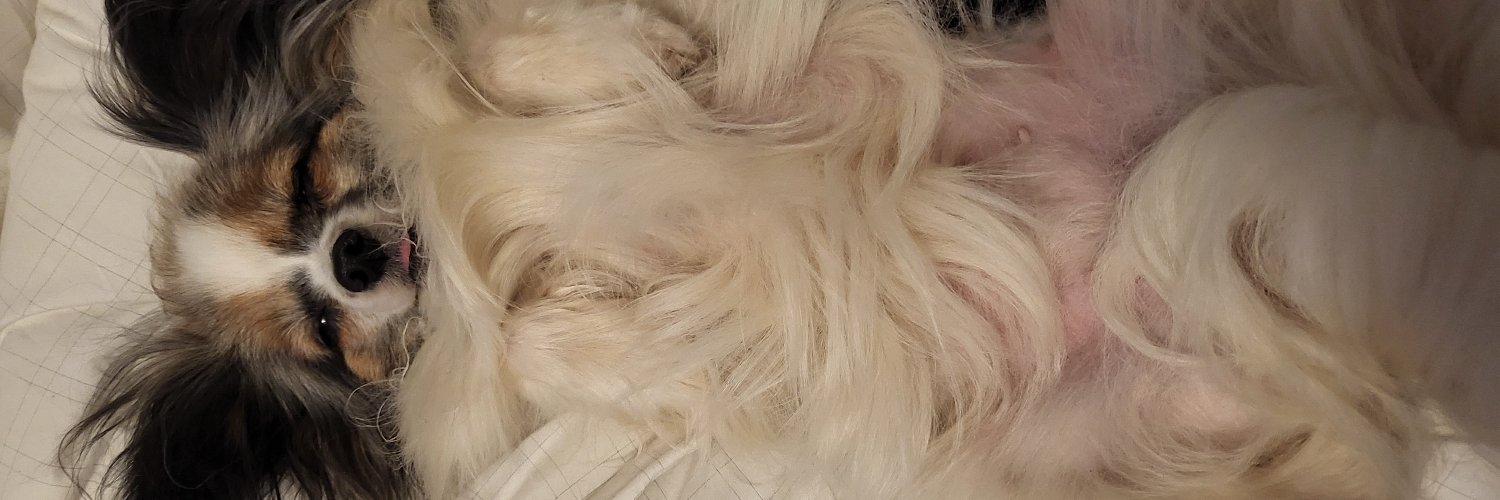 TheAngryShepher's profile banner image