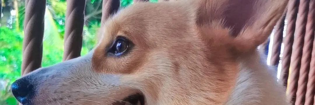 theerryyy's profile banner image