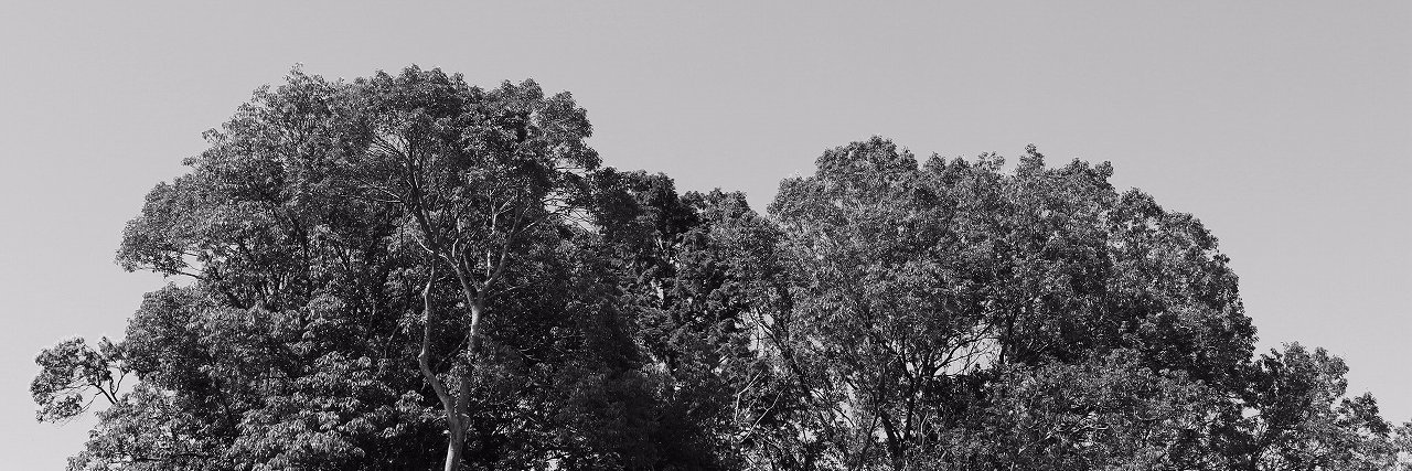 yashikumi's profile banner image