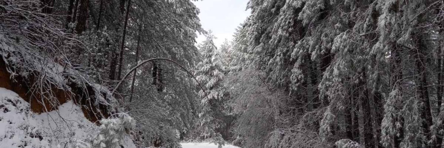 Ran ~°.•☆ banner