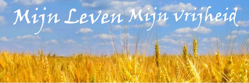 Ronald Kuilder 🇳🇱 🇺🇦 Ik leef mijn vrijheid!'s banner