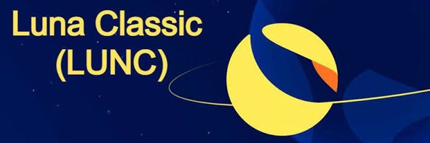 WTF video banner