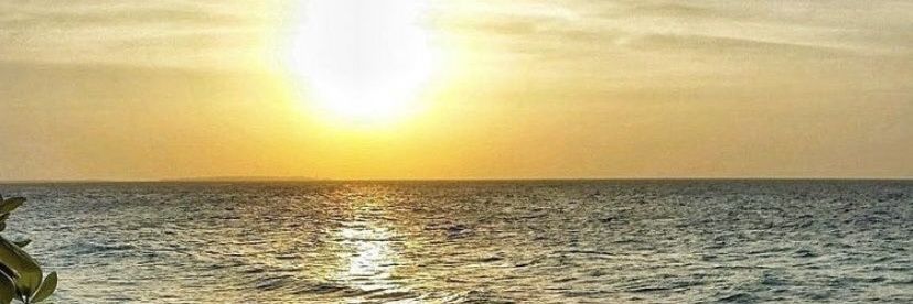 kotkafa0907's profile banner image