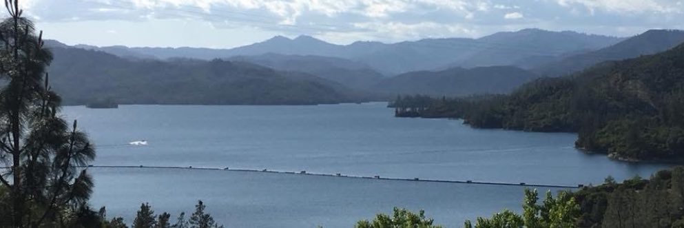 Anne (Annie) Johnson banner