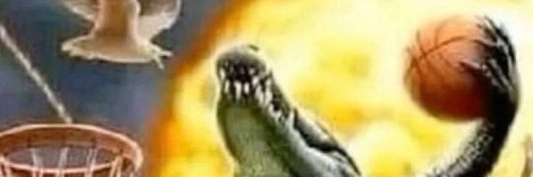 DFDvbya Profile Banner