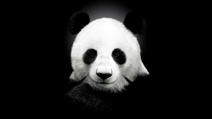 poic4's profile banner image
