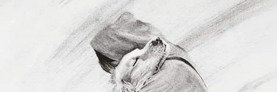 YSCaccount's profile banner image