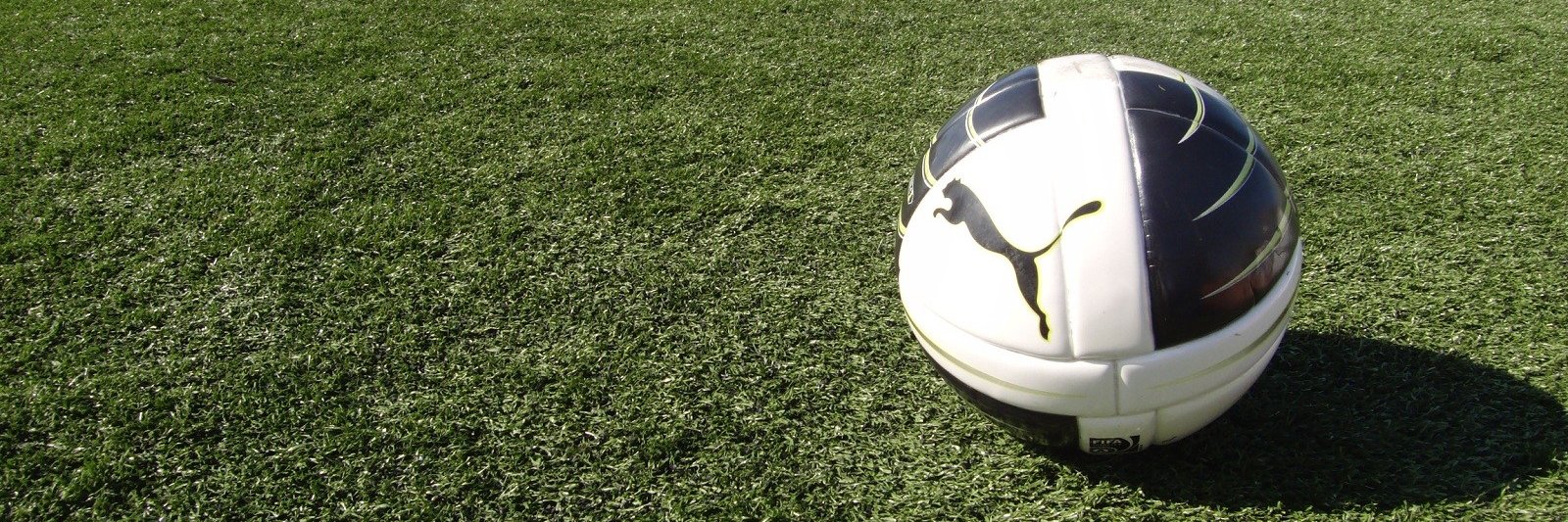 Gwinnett Soccer Acad banner