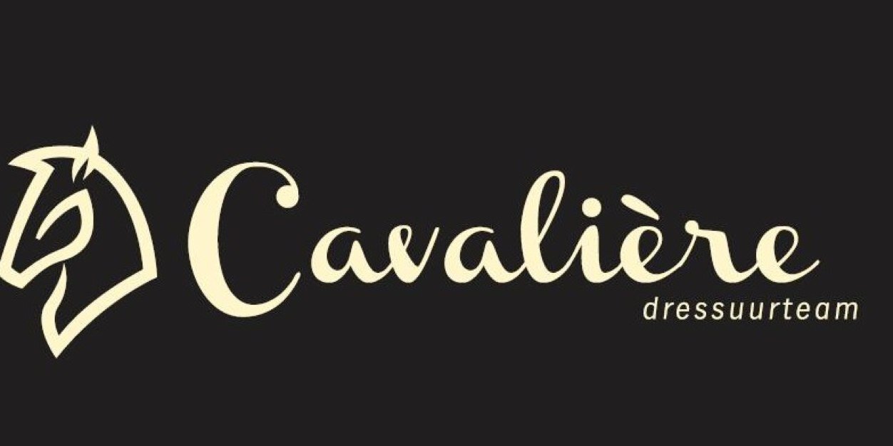 DTCavaliere's profile banner image