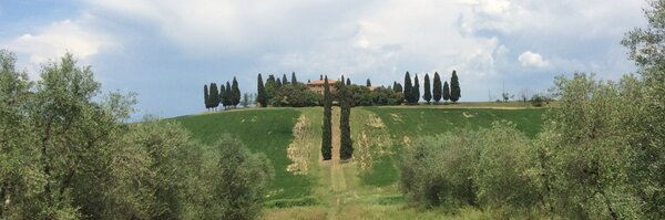 M_Hool Profile Banner