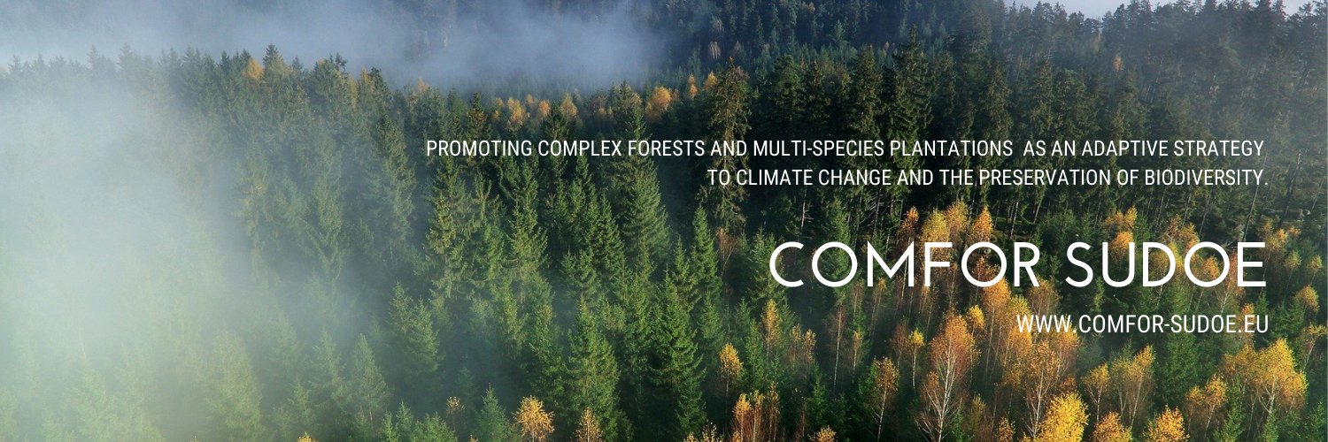 COMFOR-SUDOE banner
