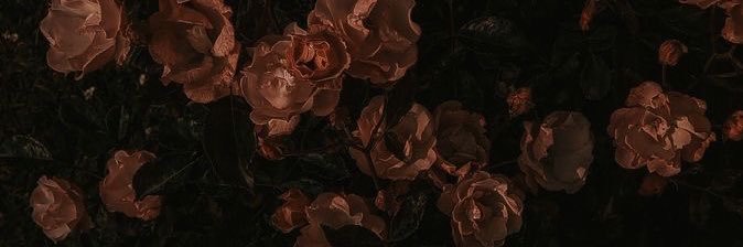 novx89's profile banner image