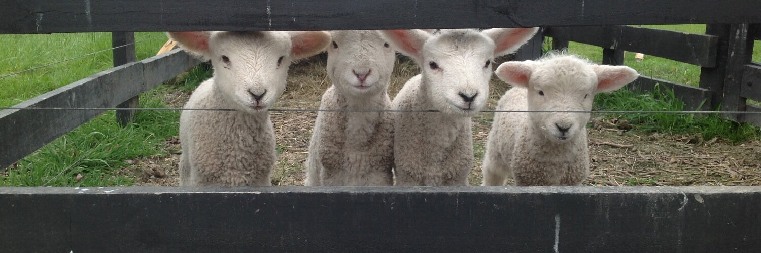 holidaycottage's profile banner image