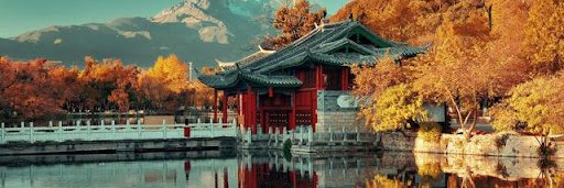 WHS Mandarin Dept. banner