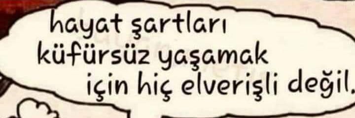 Haluk56046475's profile banner image