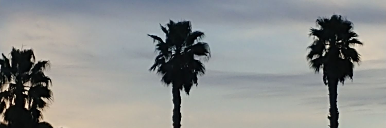 Flowersflow's profile banner image