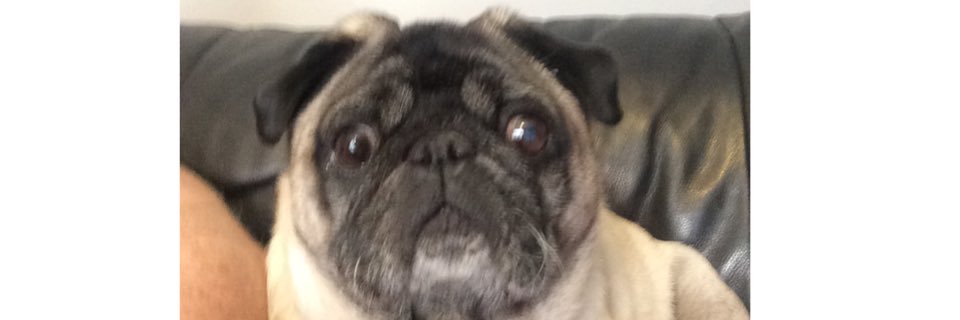bigfridge84's profile banner image