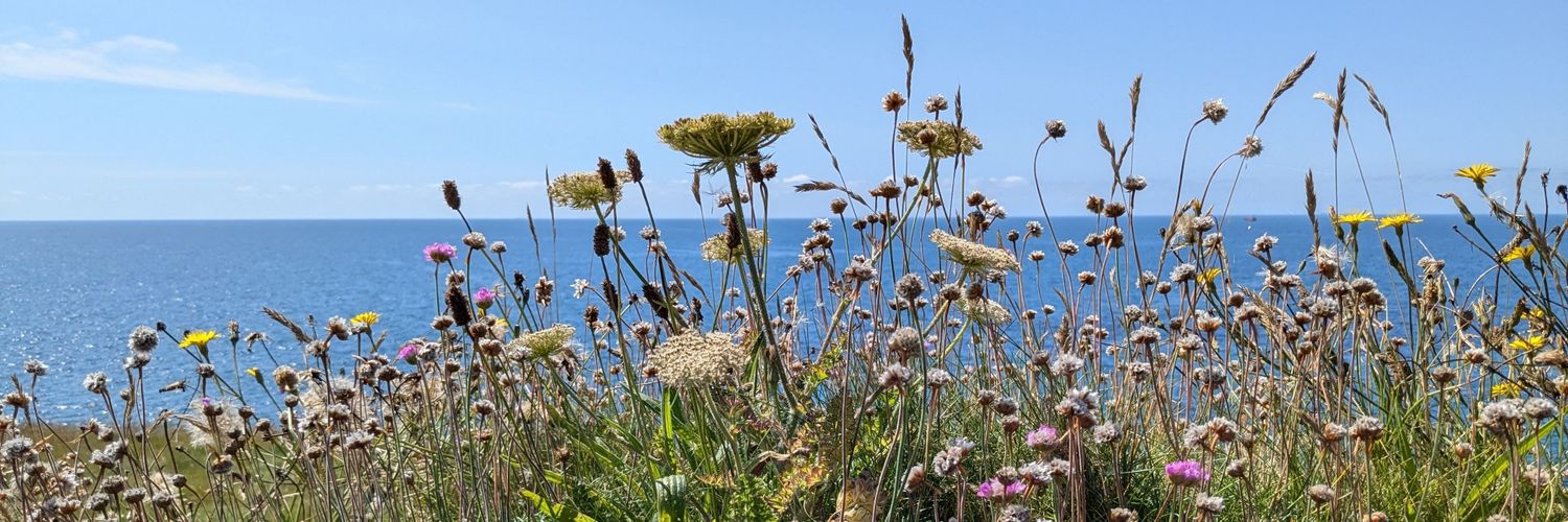 Chris Ross-Lewin banner