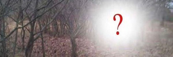 httpsccl Profile Banner