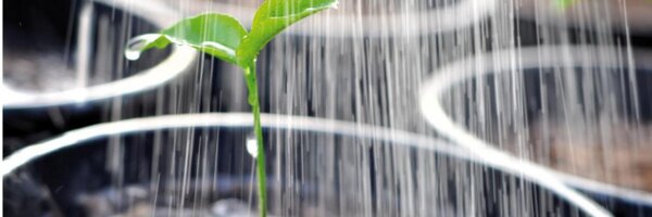 rlopezsm Profile Banner