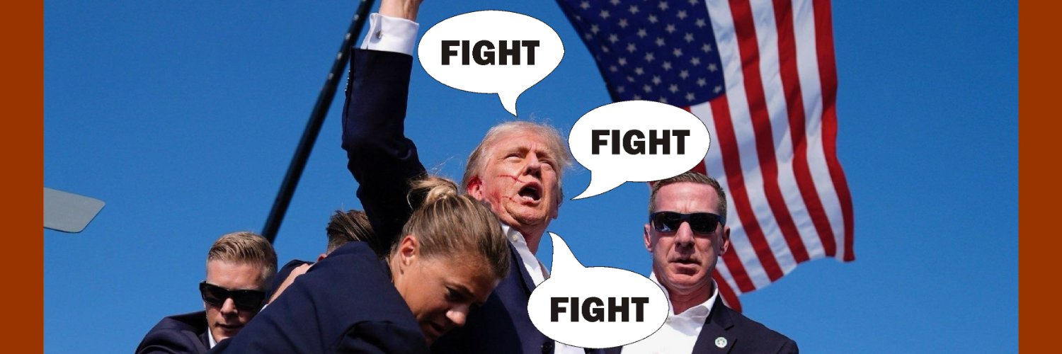 Americans Fighting For America (TM)'s banner