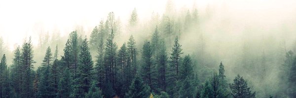 thebabychucky Profile Banner