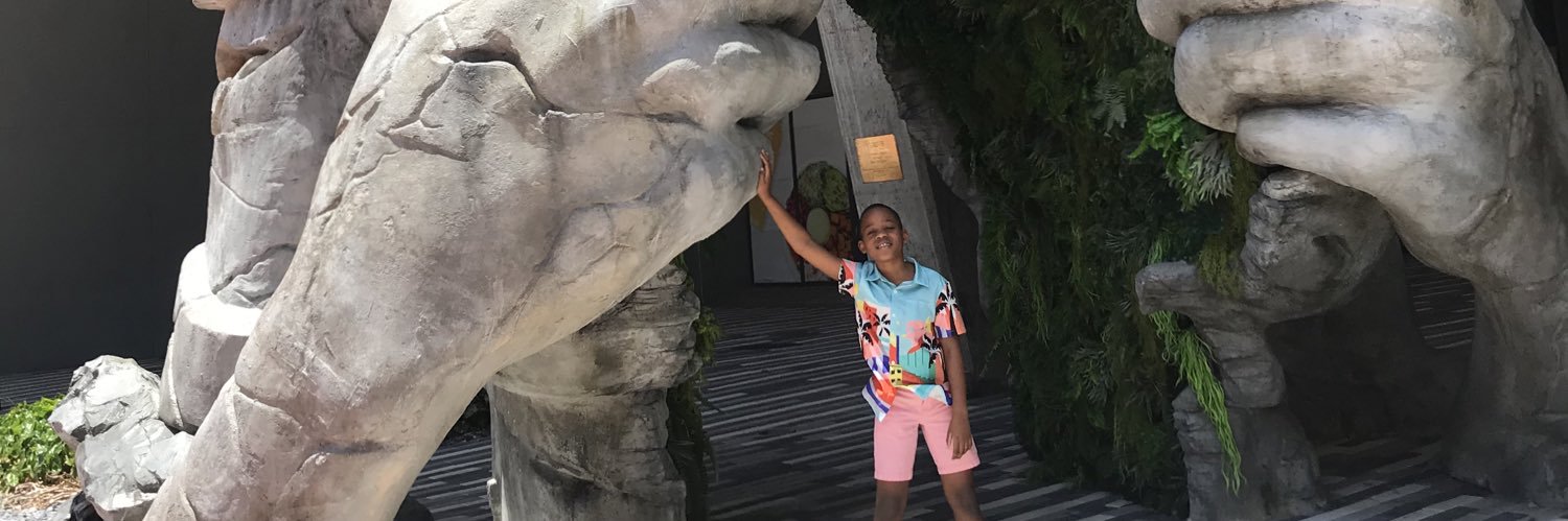 TDozion's profile banner image